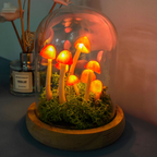 Luminária Cogumelo Encantado DIY – Monte e Decore com Magia