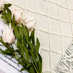 Manta Decorativa para Sofá Sunset Siesta – Com Franjas e Ultra Macia