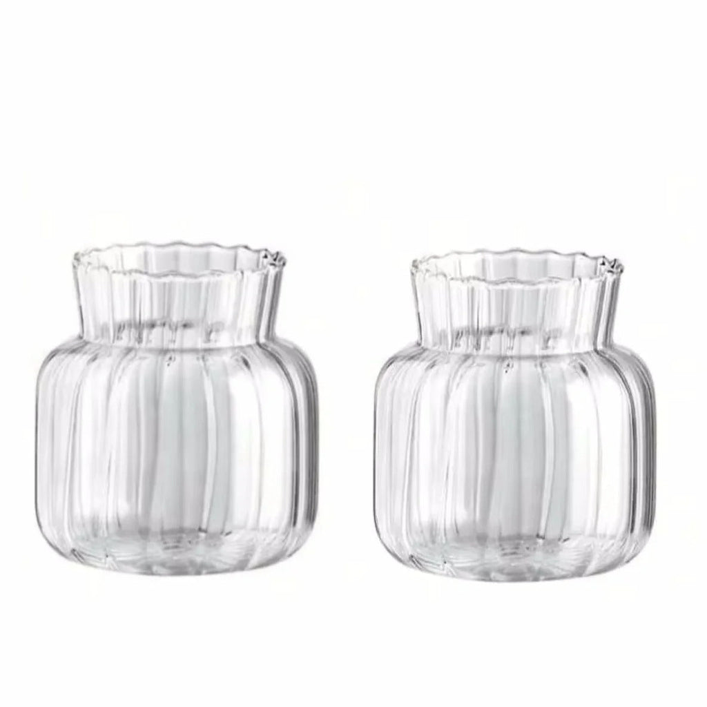Vaso de Vidro Transparente Listrado – Decoração Floral e Hidropônica