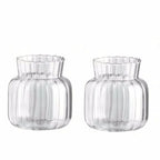 Vaso de Vidro Transparente Listrado – Decoração Floral e Hidropônica