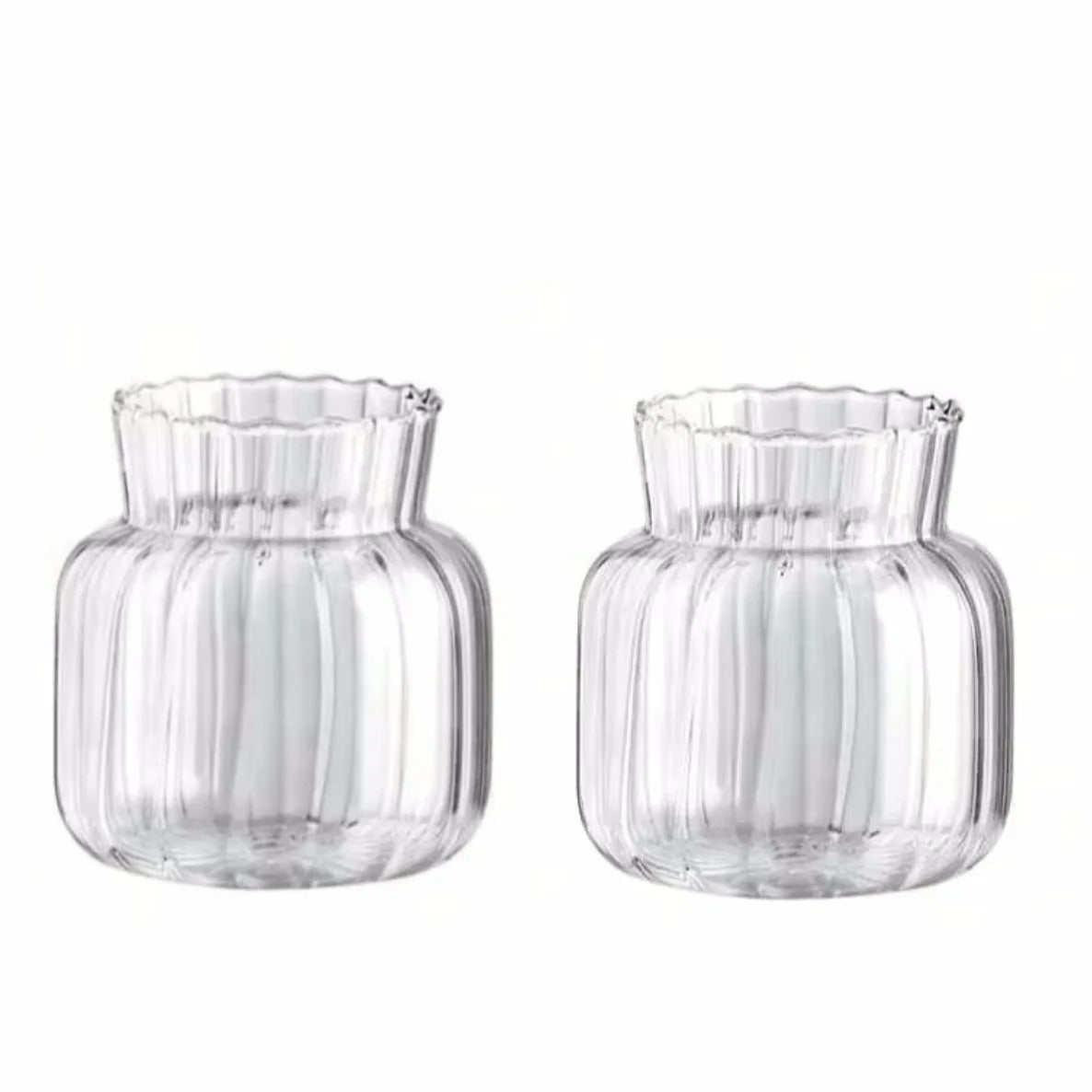 Vaso de Vidro Transparente Listrado – Decoração Floral e Hidropônica