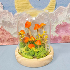 Luminária Cogumelo Encantado DIY – Monte e Decore com Magia
