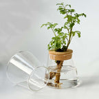 Vaso Nordic Hidropônico
