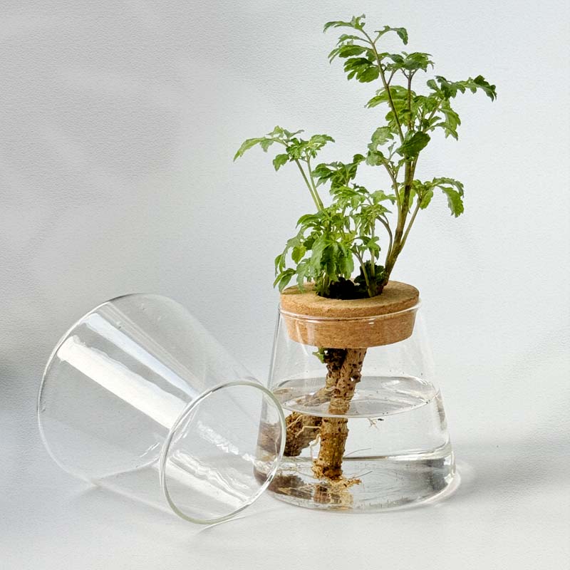 Vaso Nordic Hidropônico