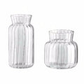Vaso de Vidro Transparente Listrado – Decoração Floral e Hidropônica