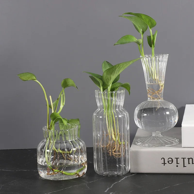 Vaso de Vidro Transparente Listrado – Decoração Floral e Hidropônica