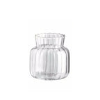 Vaso de Vidro Transparente Listrado – Decoração Floral e Hidropônica